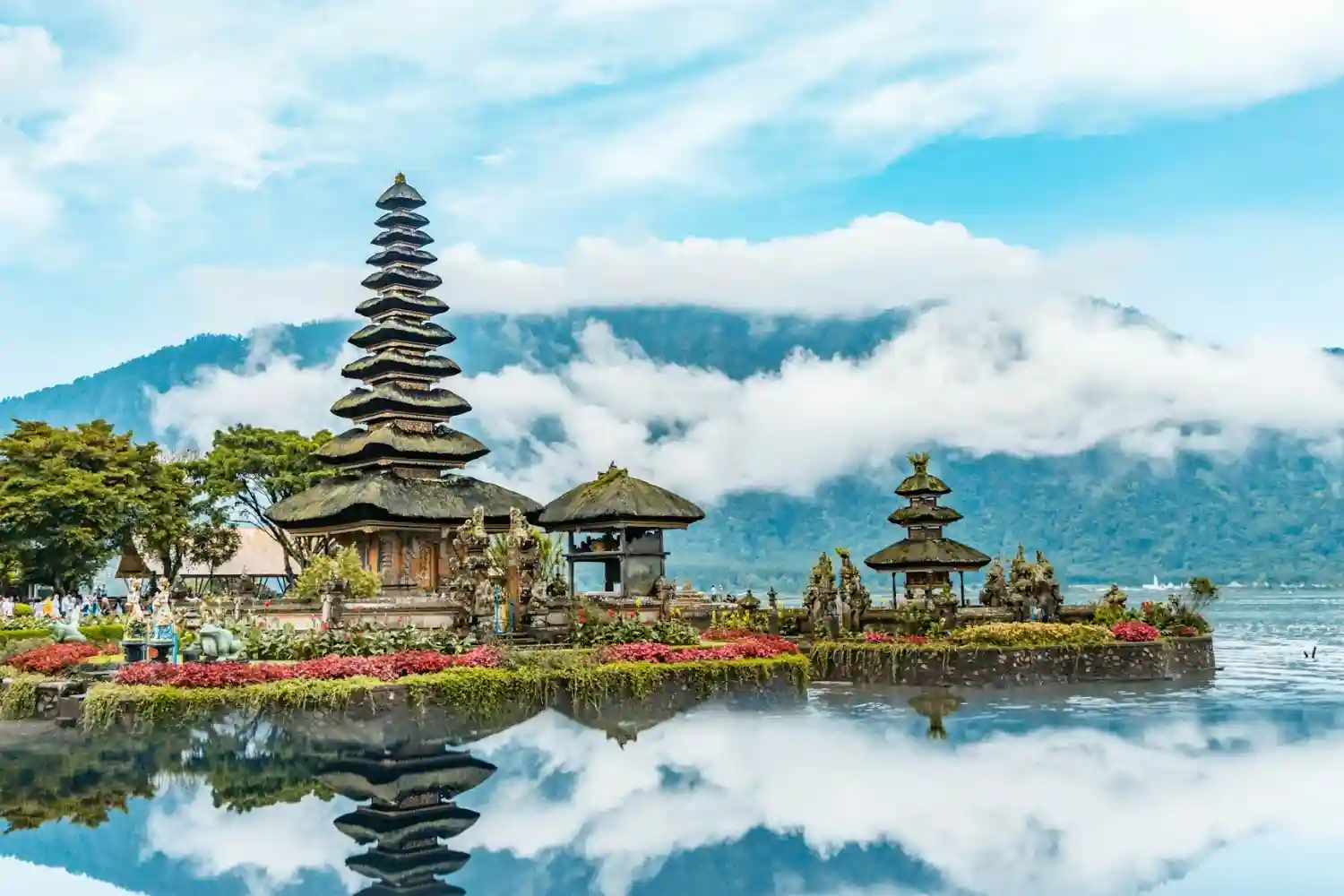 Bali Bliss 