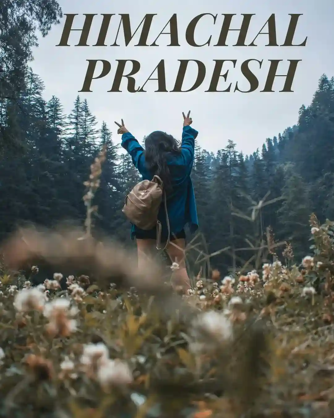 Himachal Pradesh