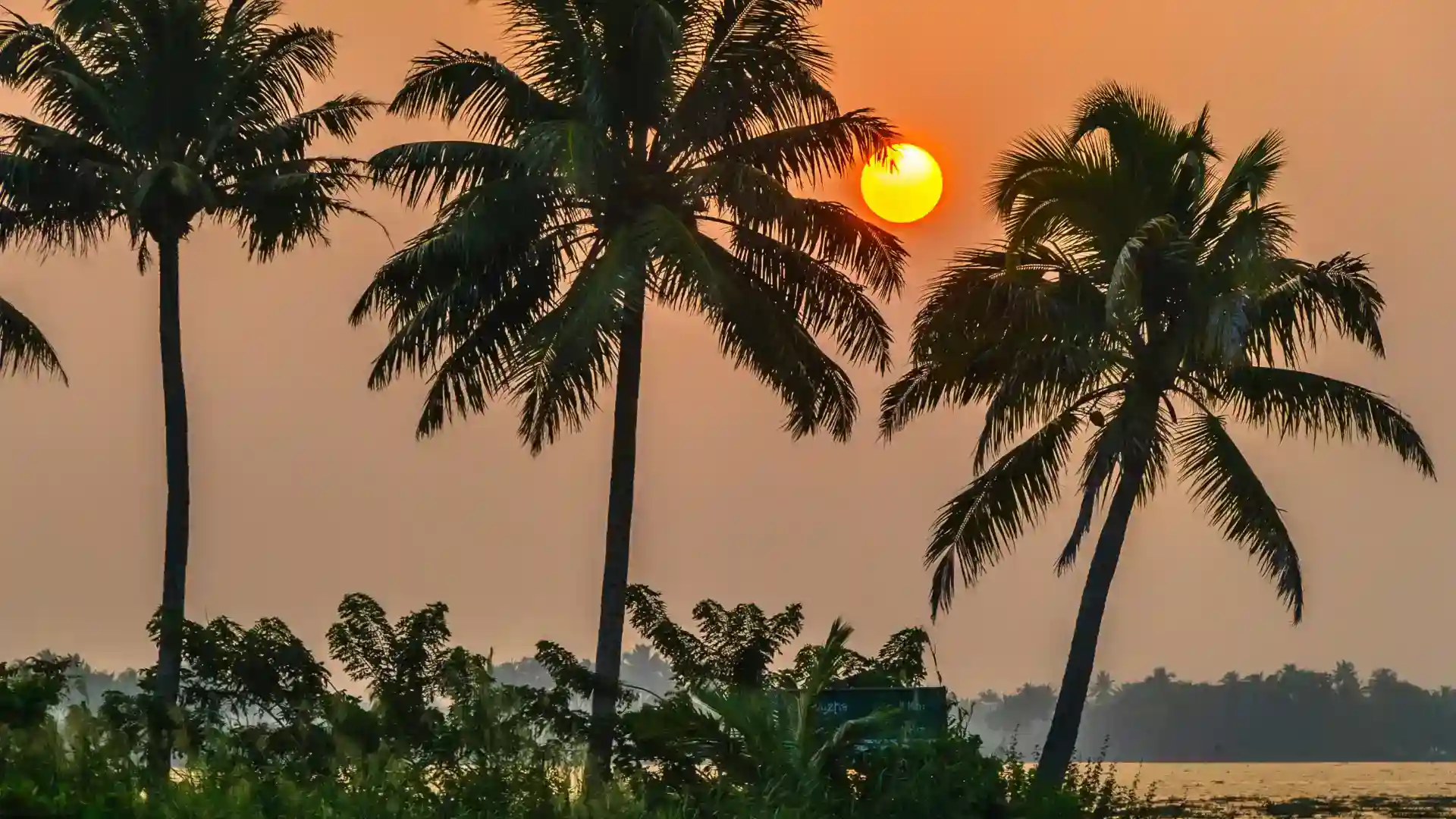 Faridabad To Kerala Holiday Package