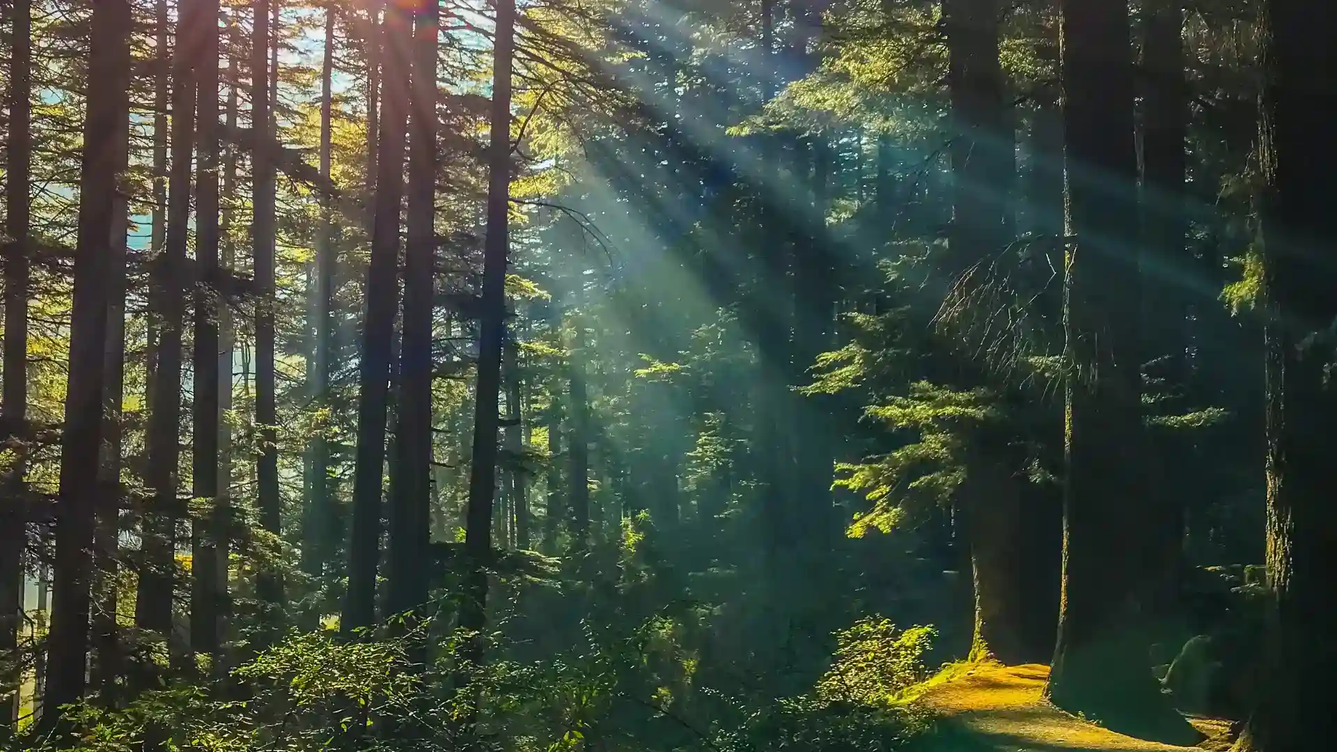 Faridabad To Manali Tour 3 DAYS