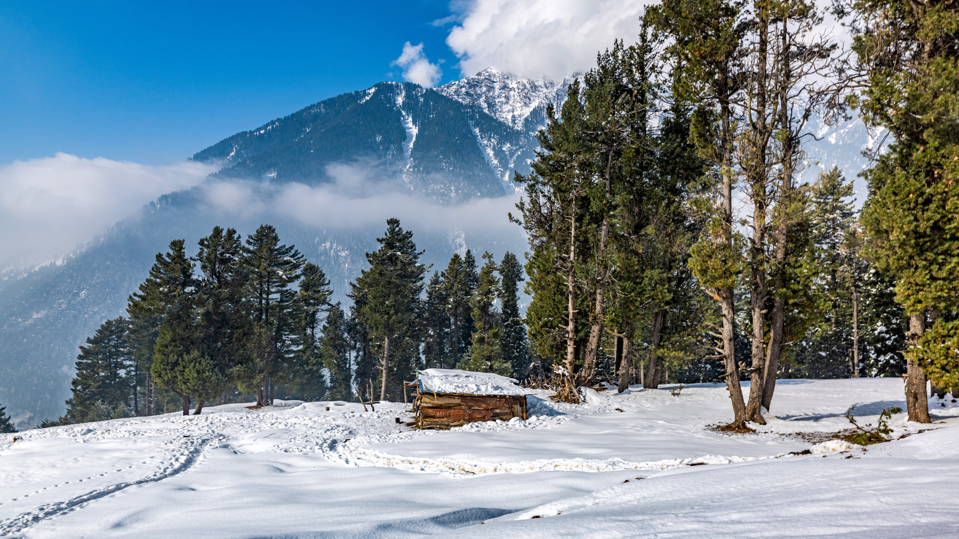 Best Kashmir Tour Package from Faridabad