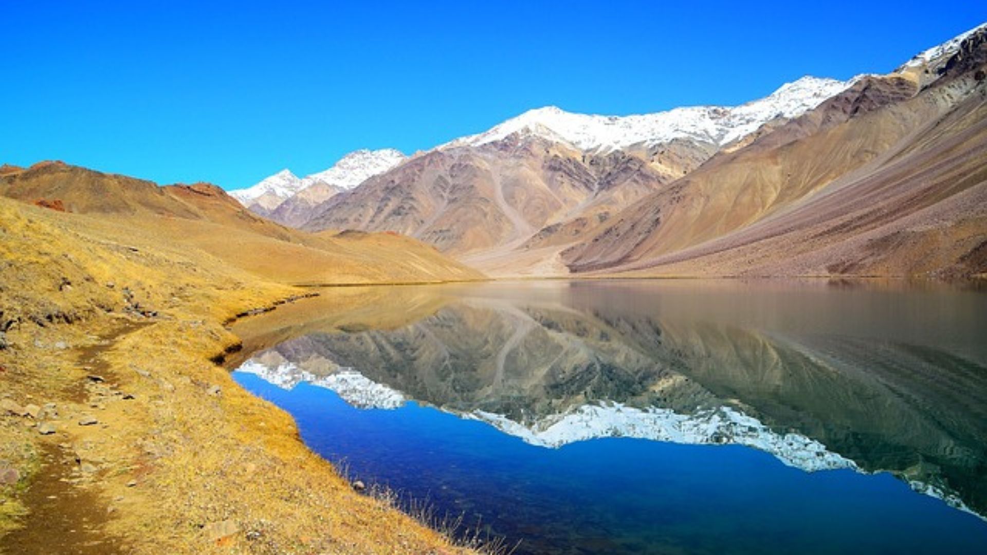 SPITI SHORT CIRCUIT