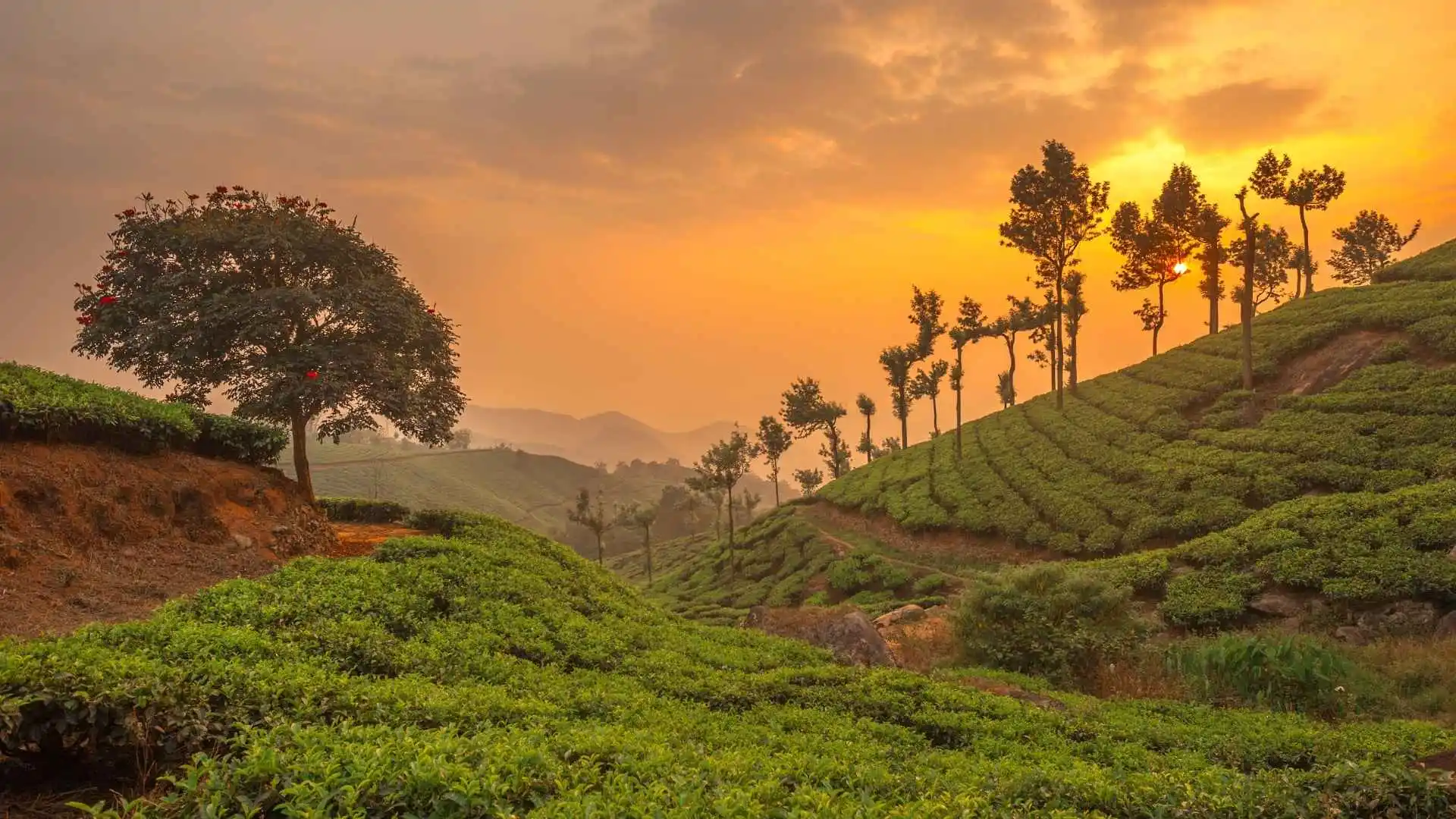 KERALA