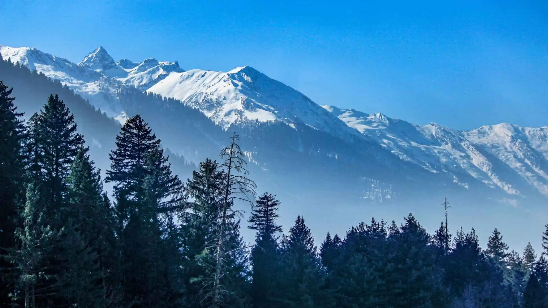 Kashmir with Leh Ladakh via Kargil