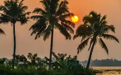 Faridabad To Kerala Holiday Package