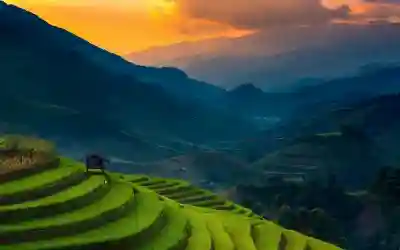 Faridabad To Vietnam tour