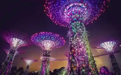 Faridabad To Singapore Tour